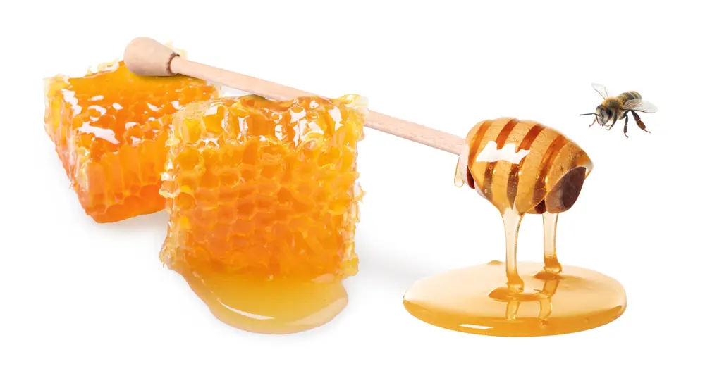 Bees