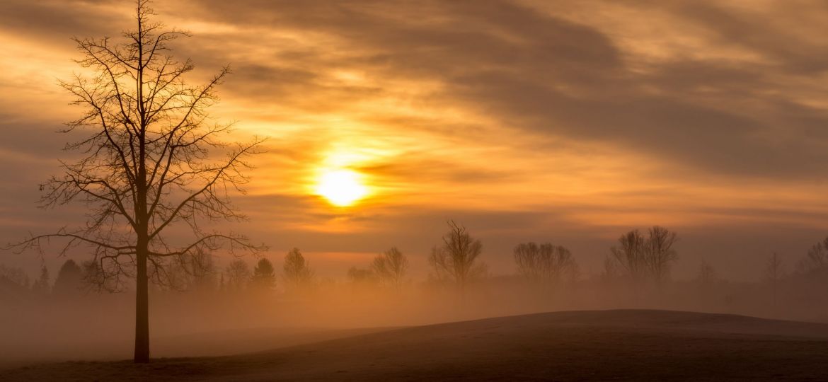 shutterstock_284586386
